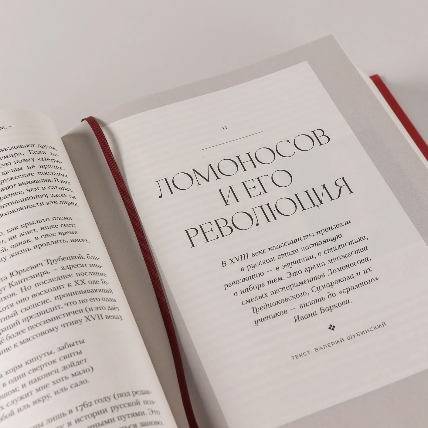 Полка: История русской поэзии фото книги маленькое 11