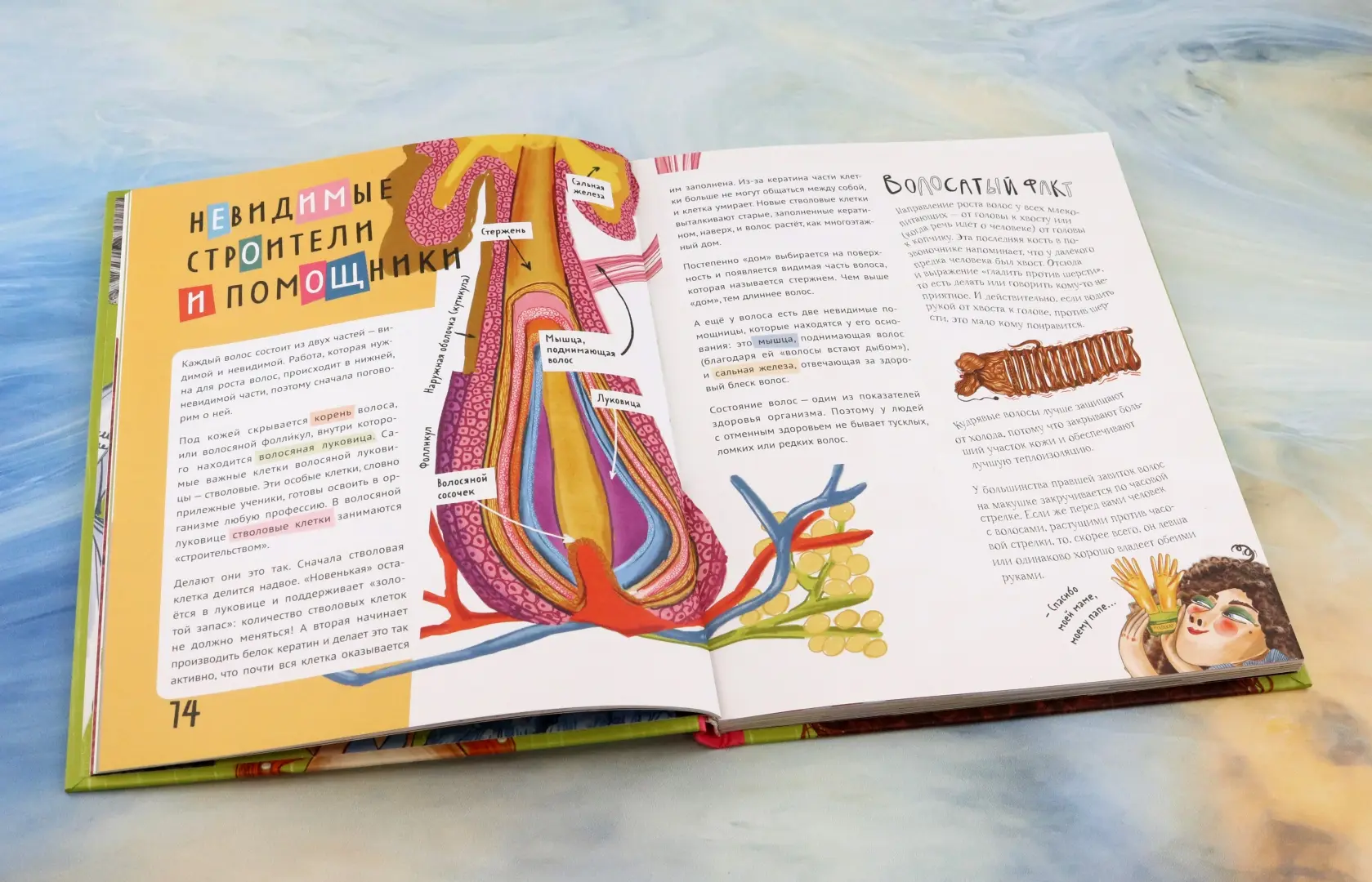 Волосатая энциклопедия фото книги маленькое 10