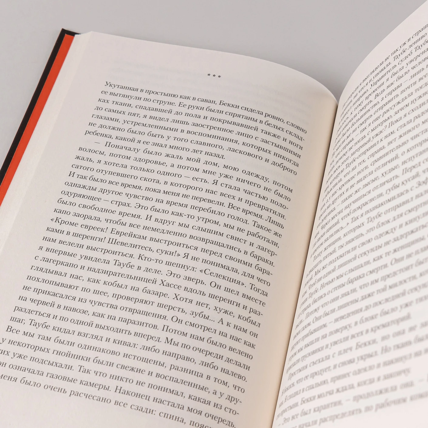 Исход фото книги маленькое 8