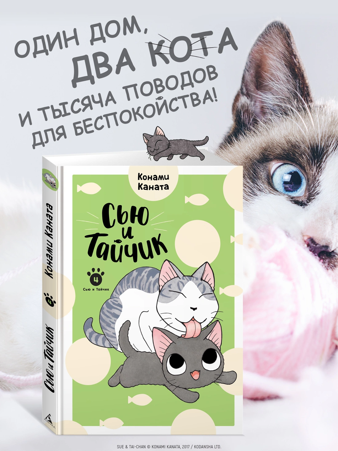 Сью и Тайчик. Книга 4 фото книги маленькое 3
