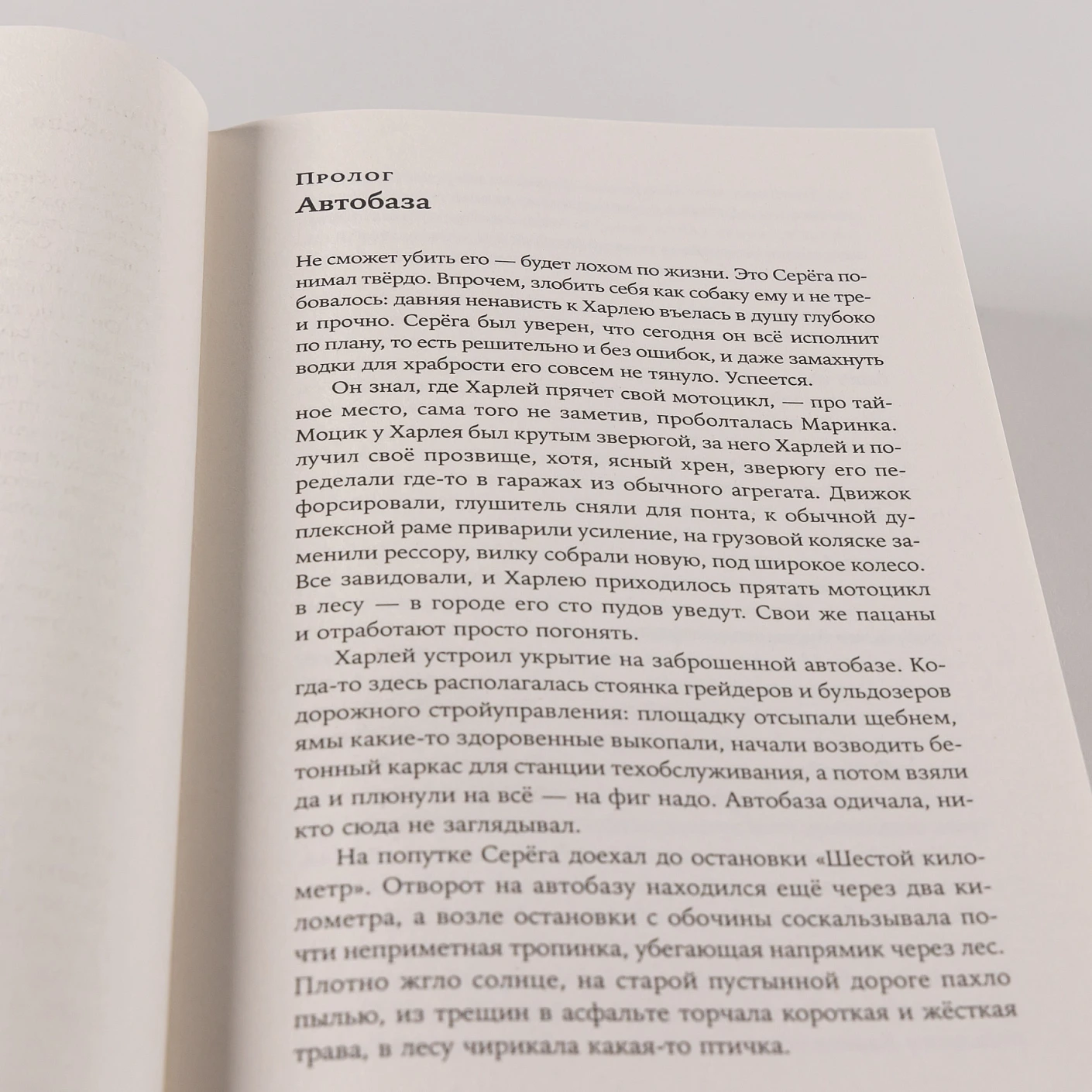 Вегетация фото книги маленькое 12