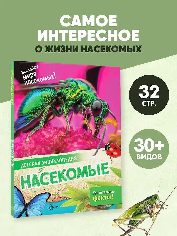 Насекомые фото книги маленькое 4