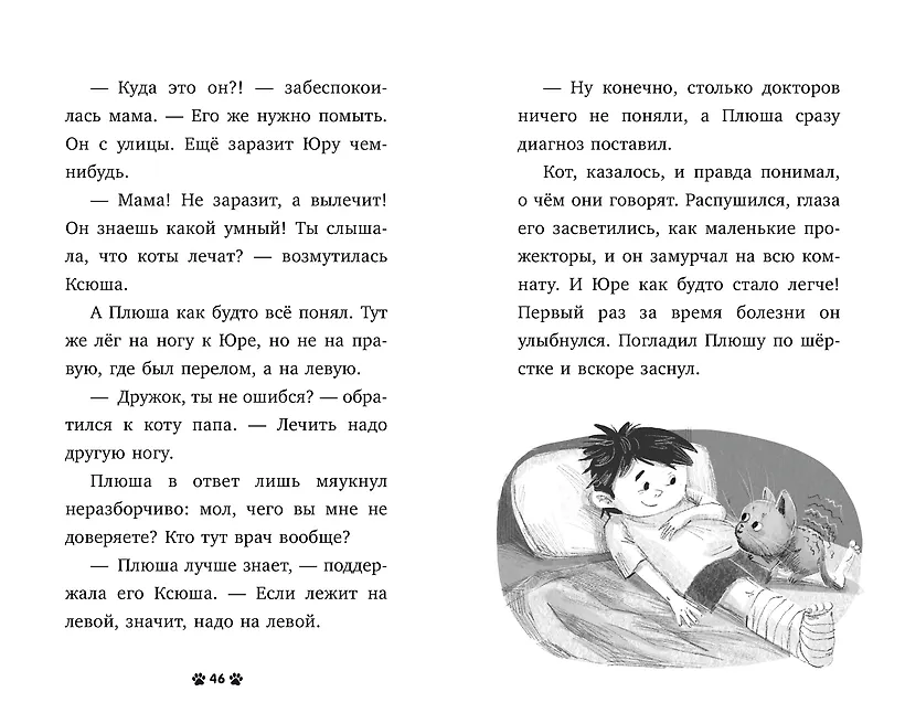 Котенок Плюша ищет семью фото книги маленькое 5