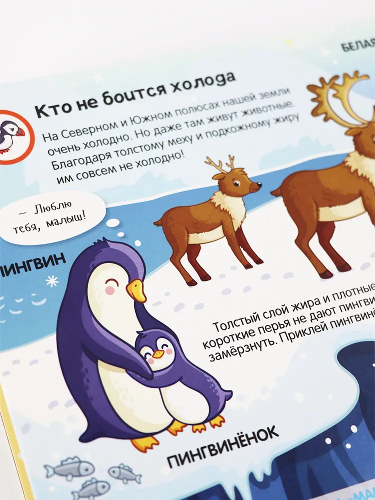 Липучки. Кто моя мама? фото книги маленькое 15