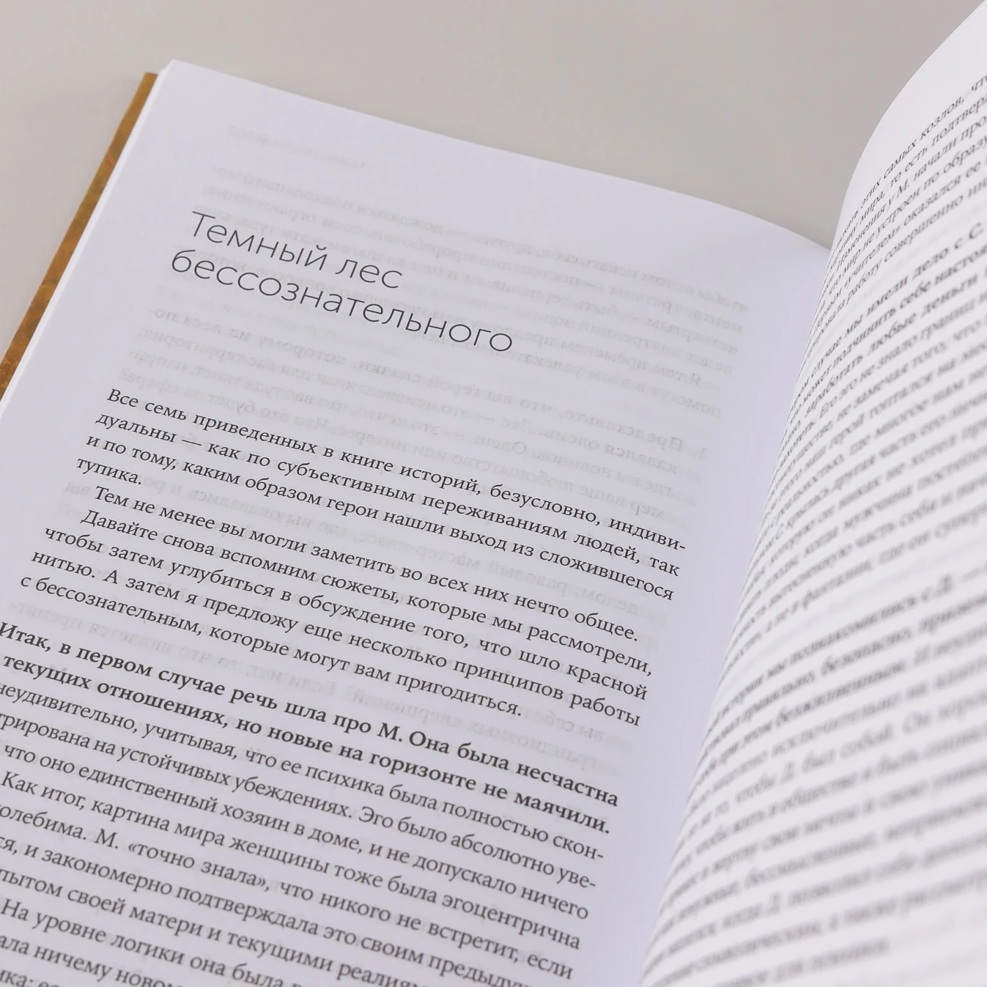 Таинственный лес: Как диалог с бессознательным помогает выйти из жизненного тупика фото книги маленькое 9