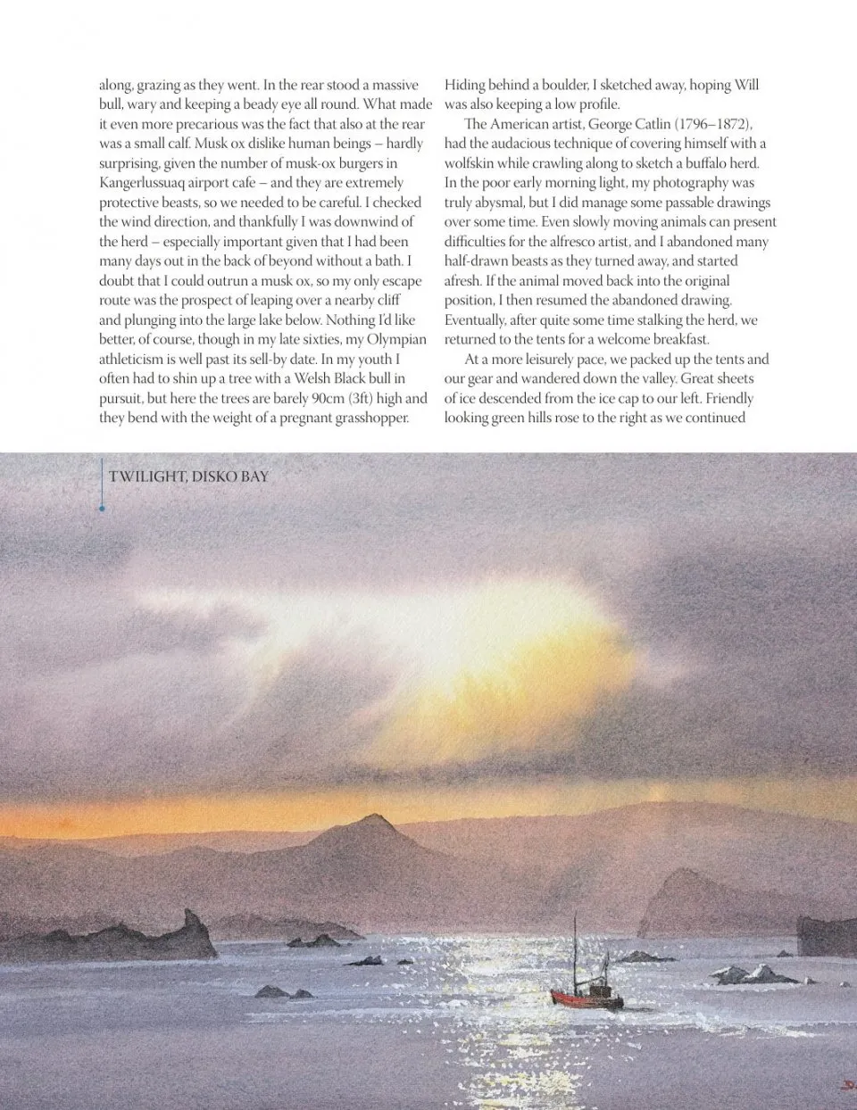 David Bellamy`s Arctic Light фото книги маленькое 17