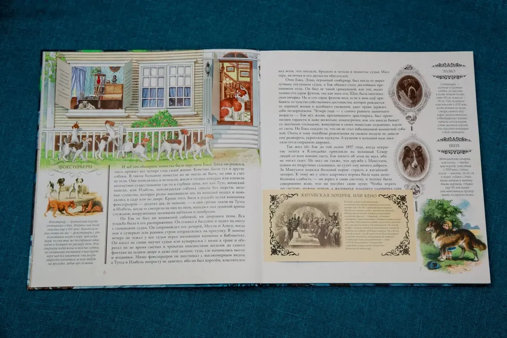 Зов предков фото книги маленькое 8