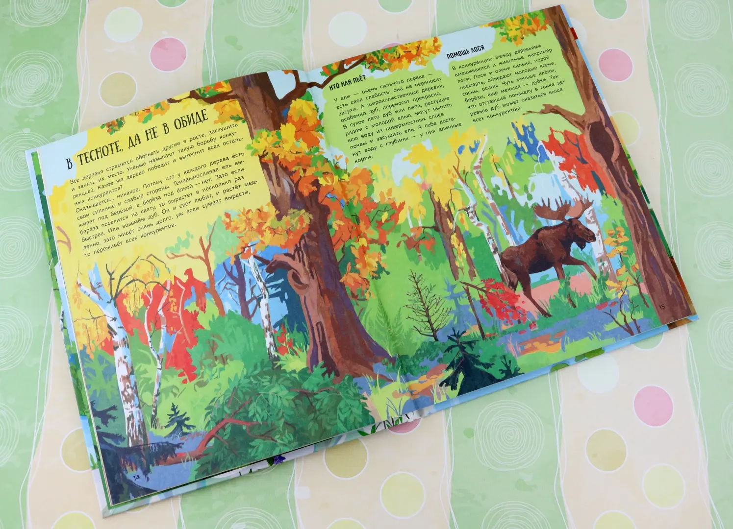 Лес. Самый умный дом на свете фото книги маленькое 10