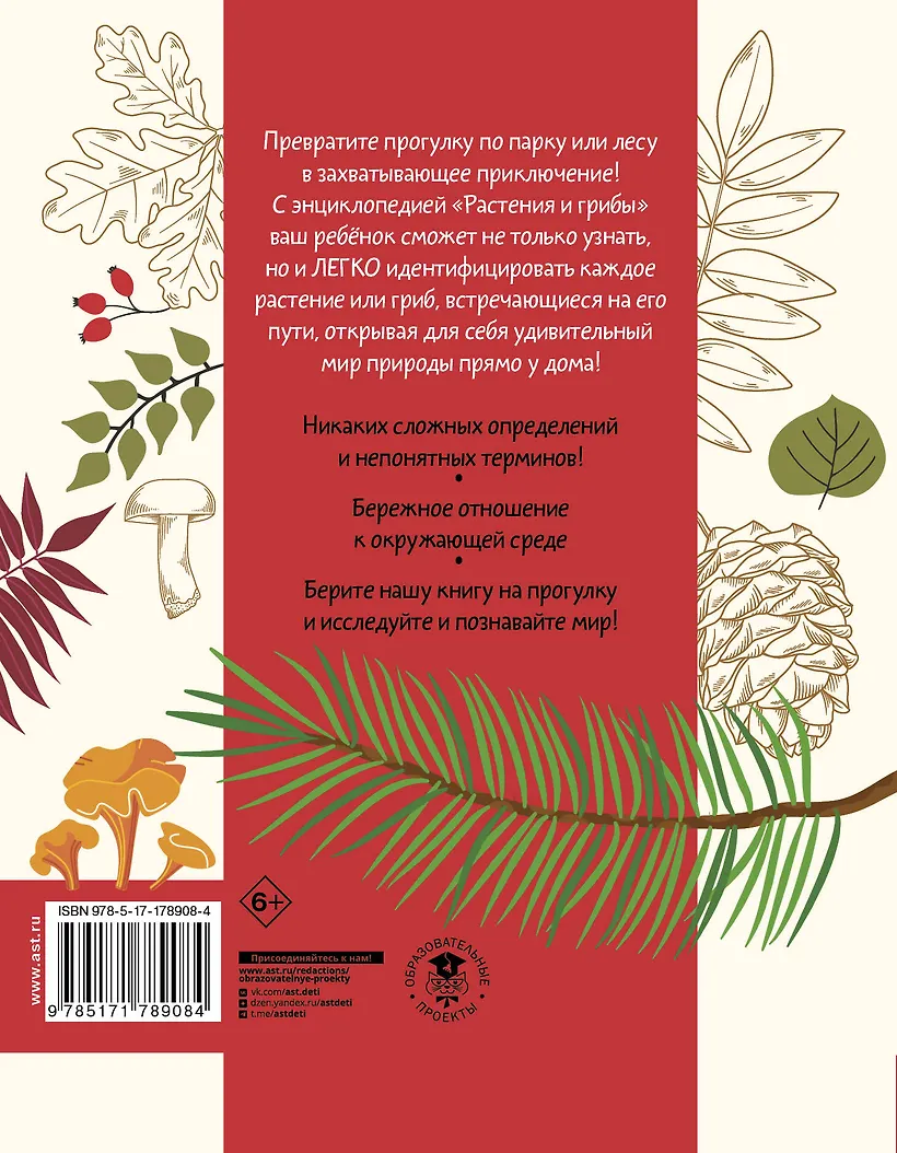 Окружающий мир. Растения и грибы фото книги маленькое 3