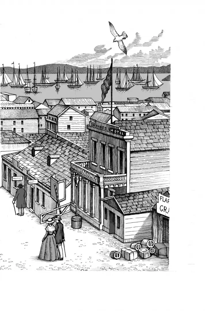 Пассажирка фото книги маленькое 4