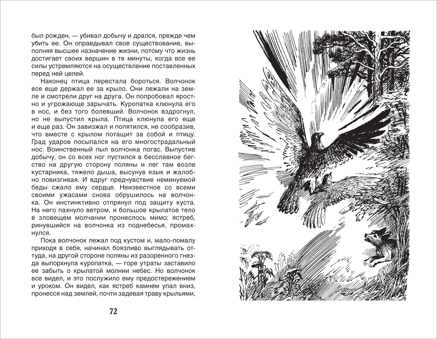 Белый клык фото книги маленькое 4