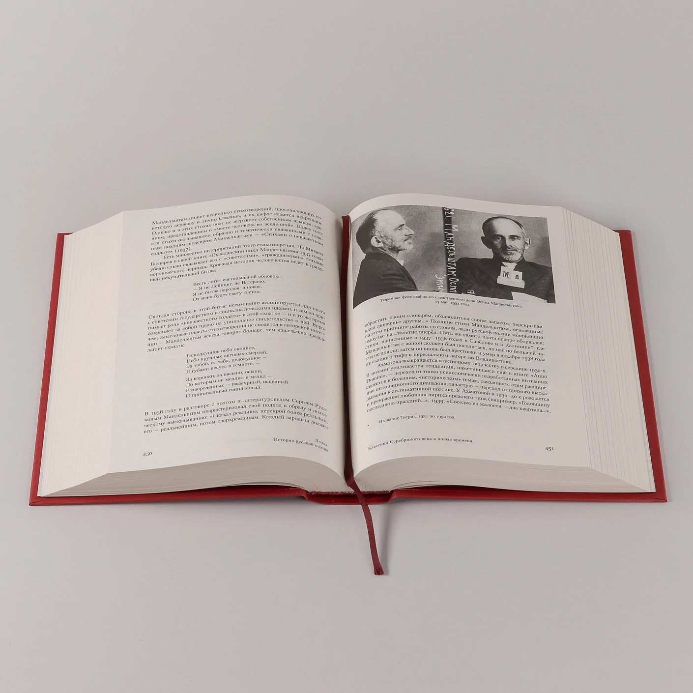 Полка: История русской поэзии фото книги маленькое 9