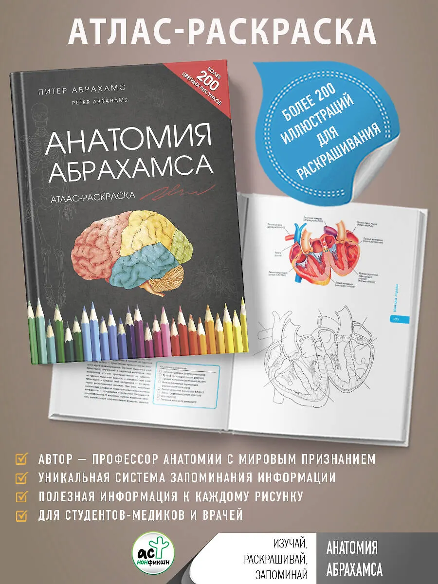 Анатомия Абрахамса. Атлас-раскраска фото книги маленькое 4