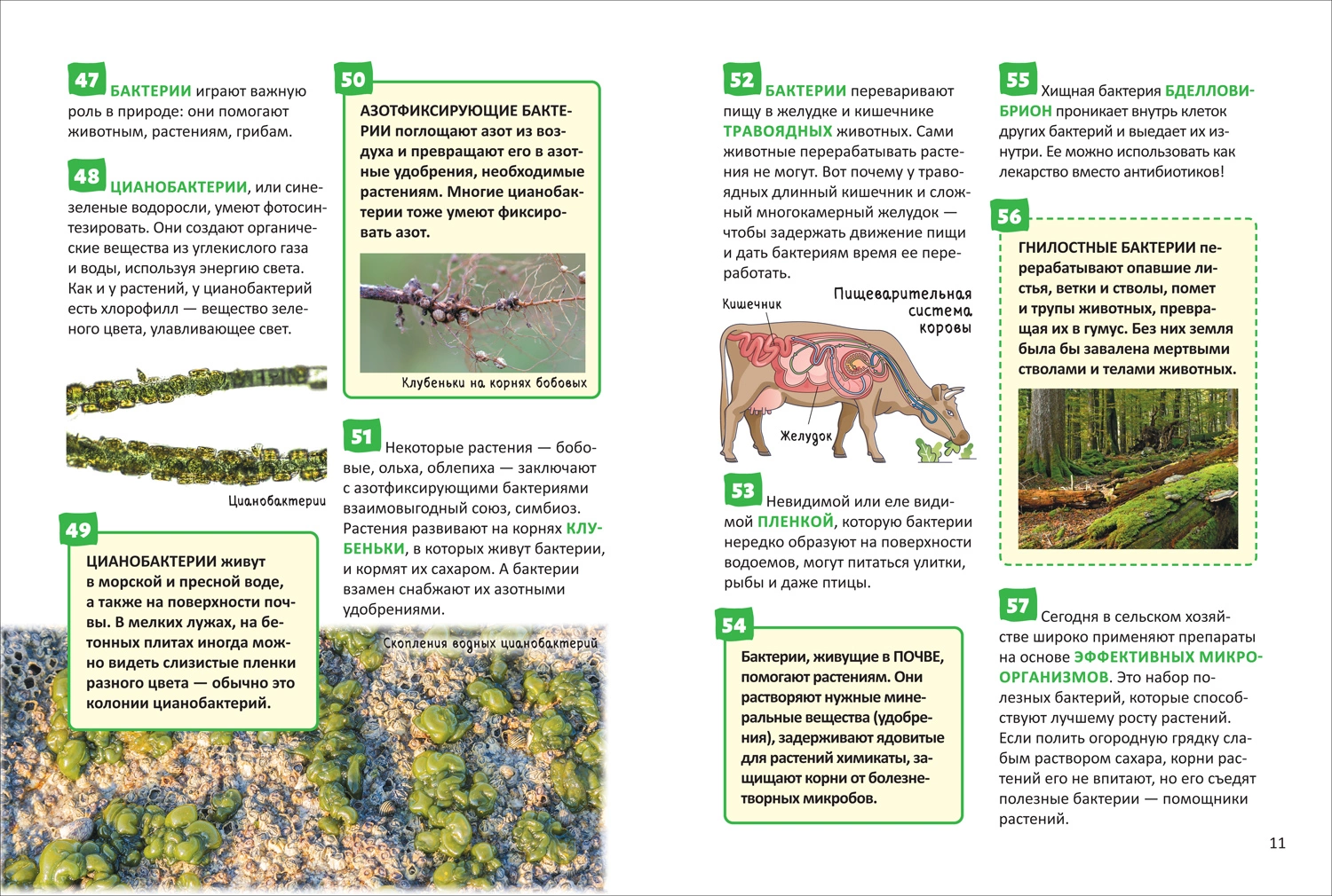 Микромир фото книги маленькое 6