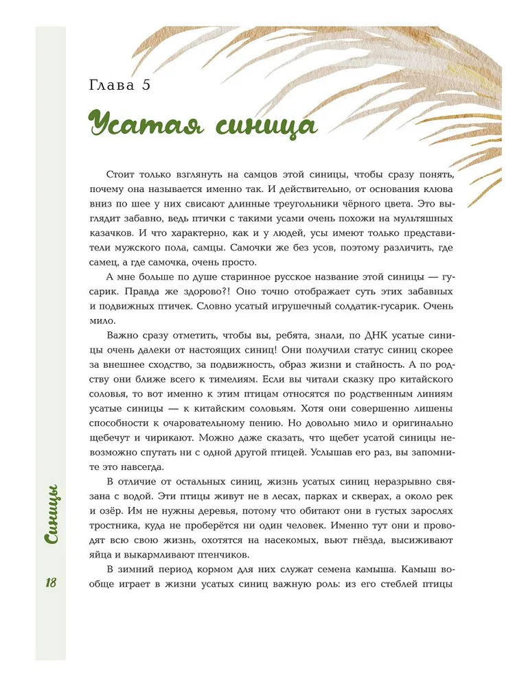 Синицы фото книги маленькое 11