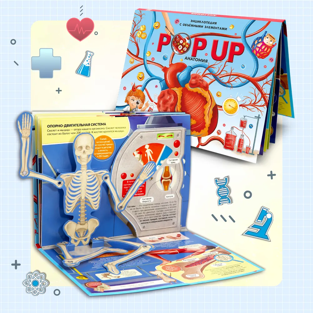 POP UP энциклопедия. Анатомия. Книжка-панорамка фото книги маленькое 3