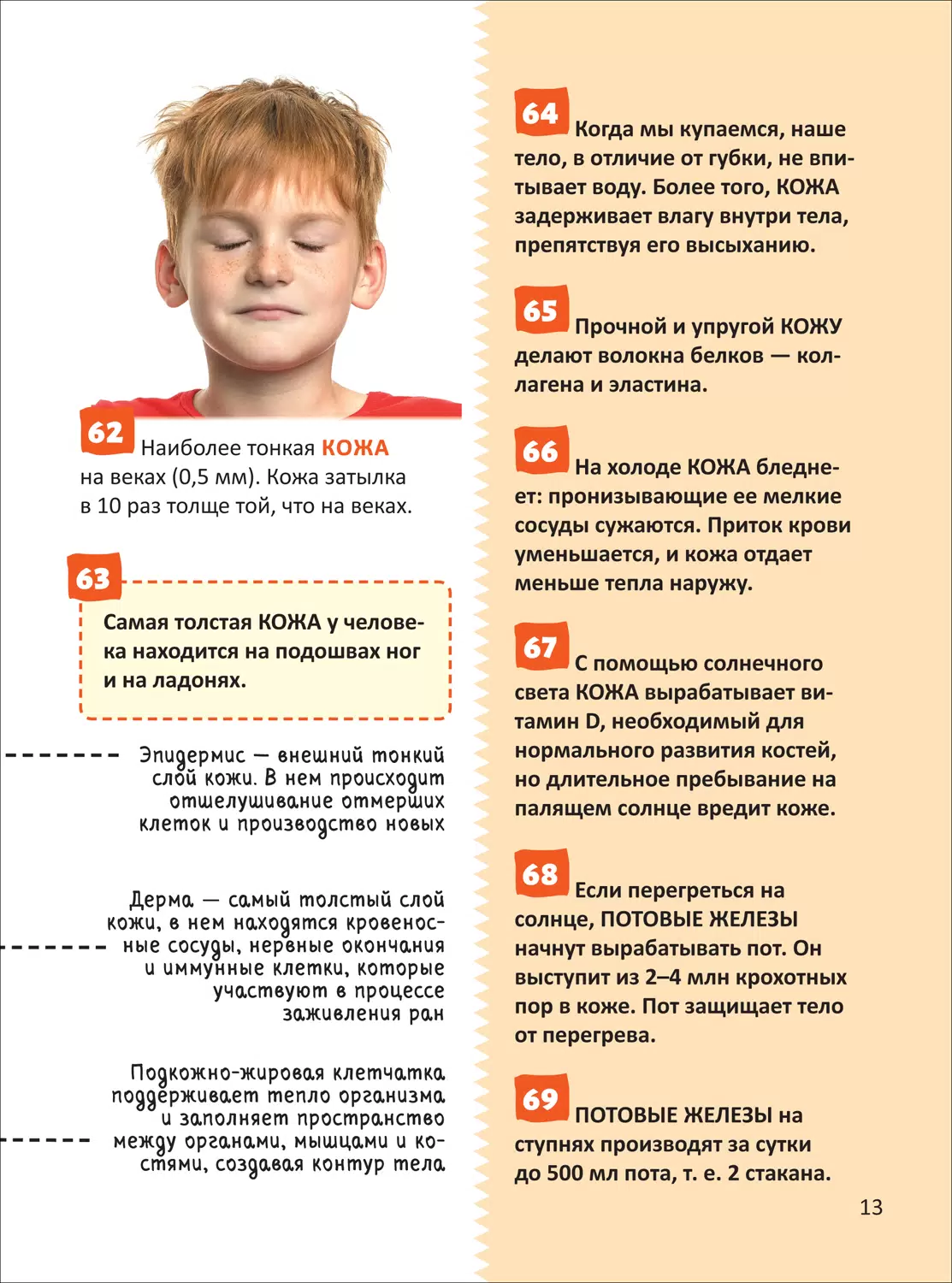 Человек. Энциклопедия российского школьника фото книги маленькое 6