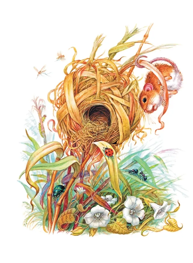 Мышонок Пик. Сказки фото книги маленькое 7