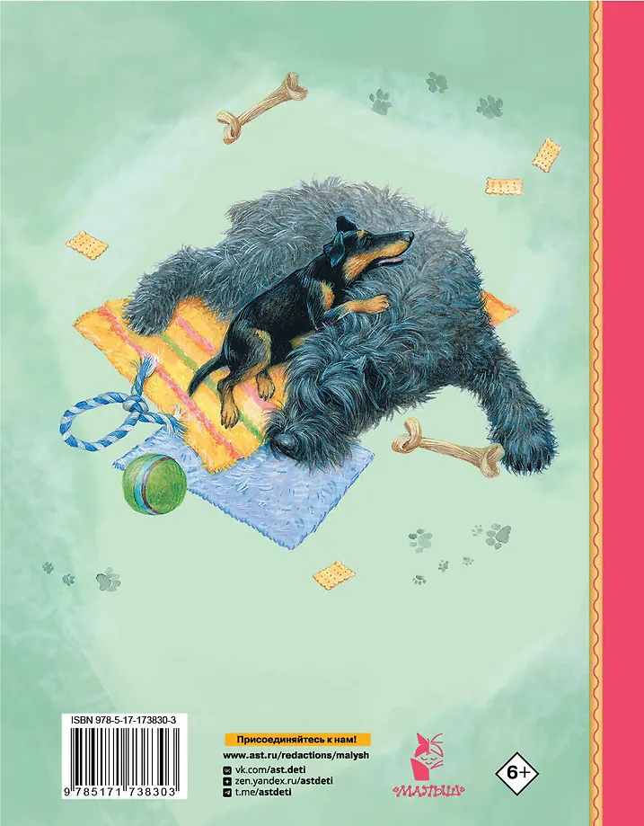 Как правильно любить собак. Рассказы фото книги маленькое 4