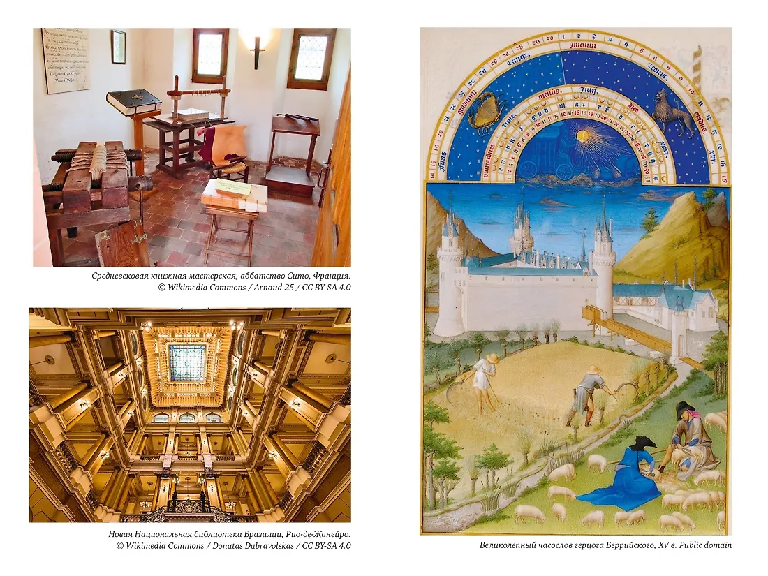 История библиотек: Коллекционеры. Тексты. Здания фото книги маленькое 7