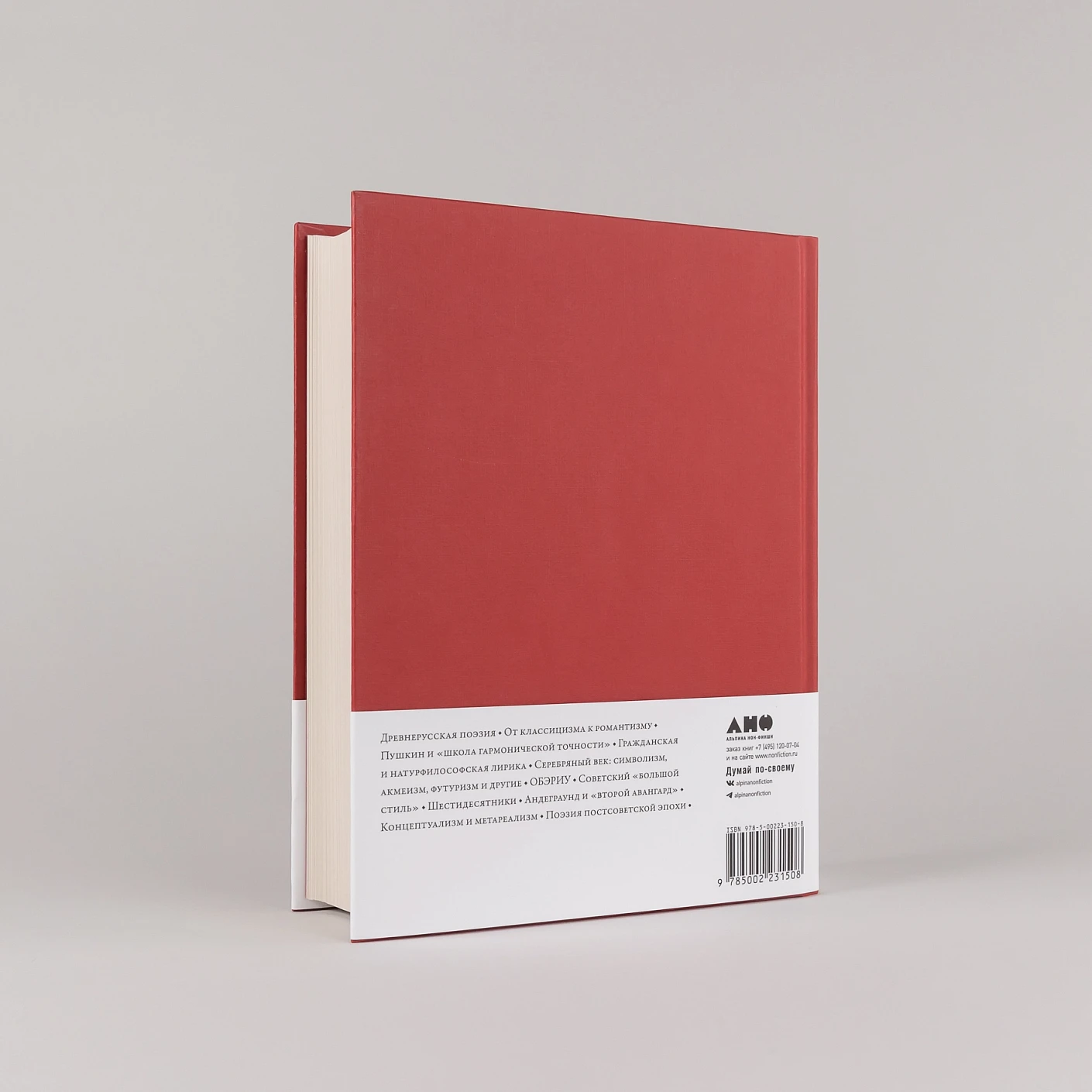 Полка: История русской поэзии фото книги маленькое 5