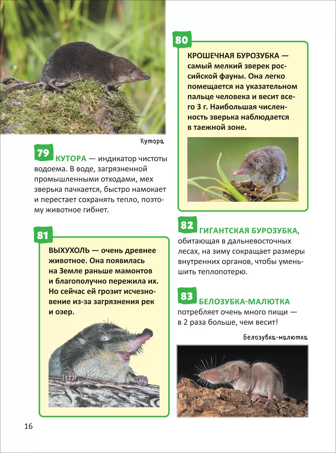 Красная книга. Энциклопедия российского школьника фото книги маленькое 5