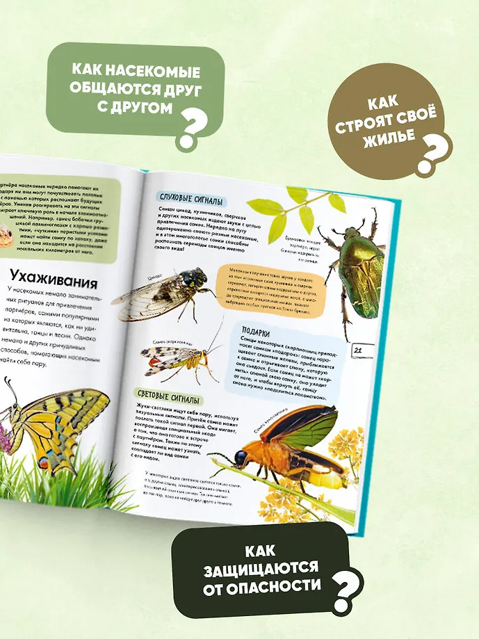 Насекомые фото книги маленькое 6