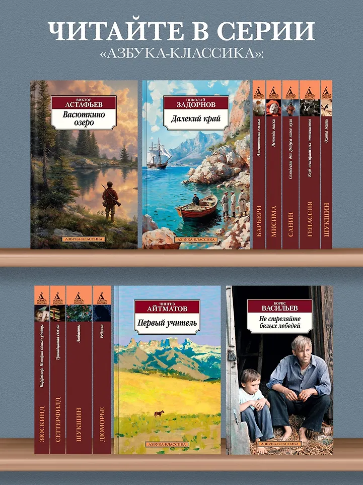 Васюткино озеро фото книги маленькое 4