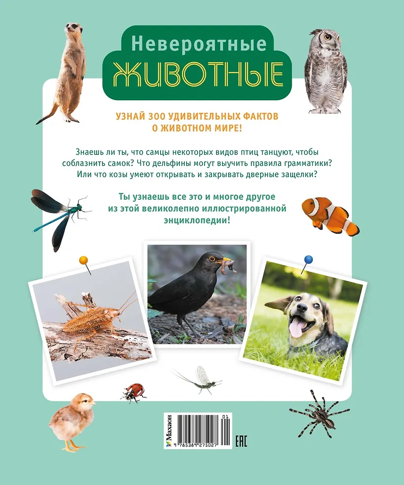 Невероятные животные фото книги маленькое 3