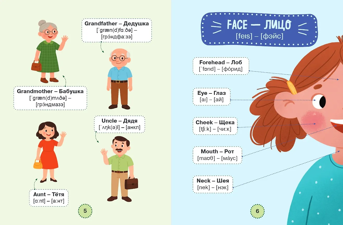 Мой первый год английского. Словарик в картинках фото книги маленькое 6