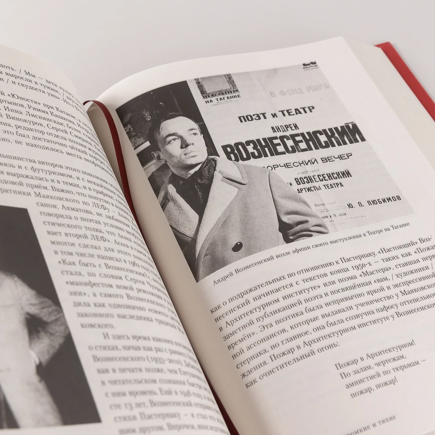 Полка: История русской поэзии фото книги маленькое 13