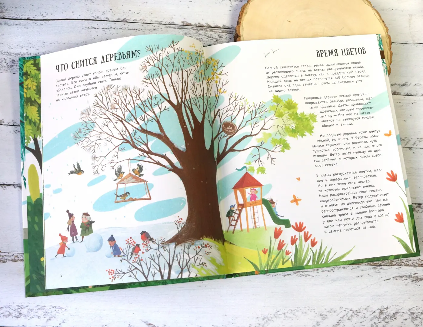 Как зовут твое дерево? фото книги маленькое 10