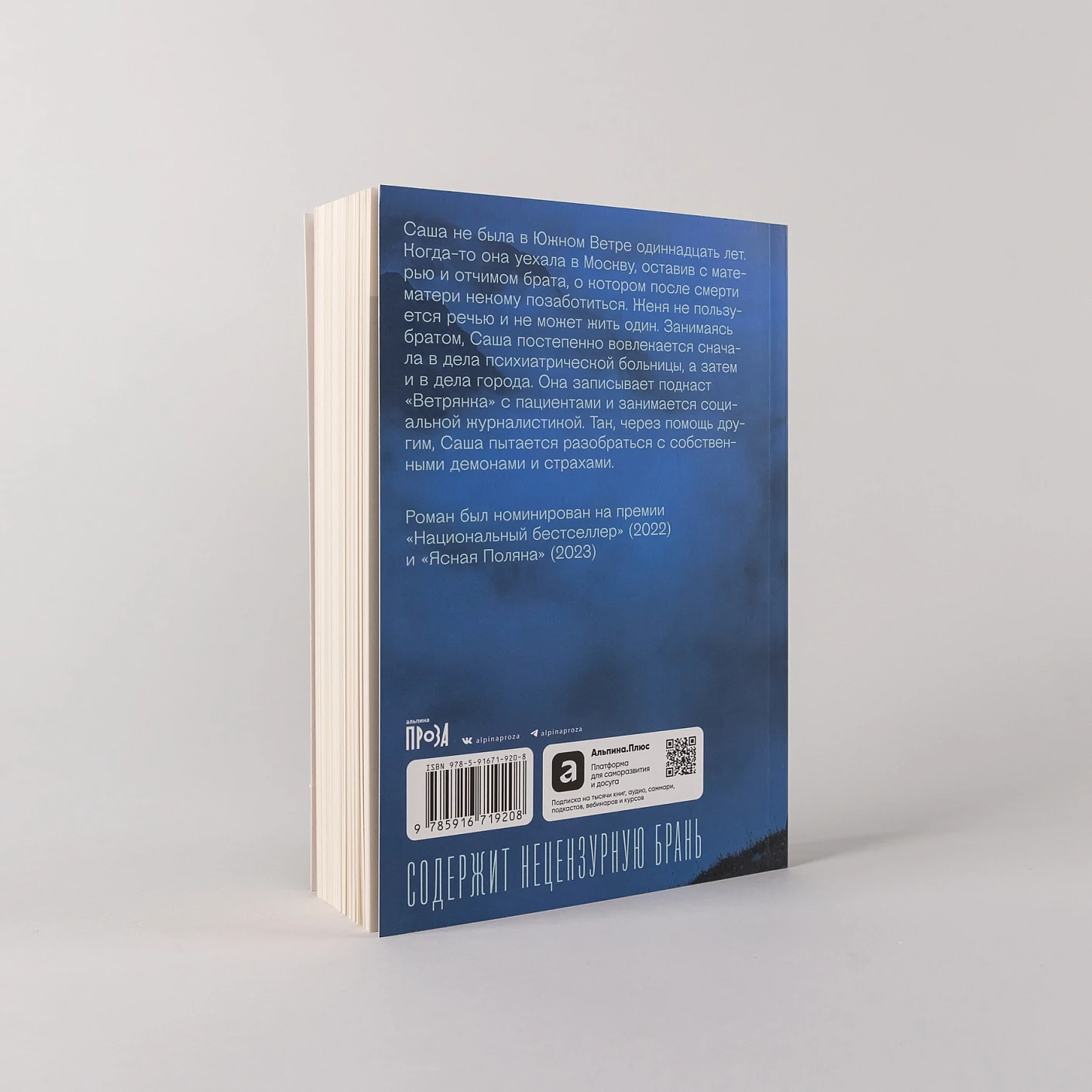 Южный Ветер фото книги маленькое 5