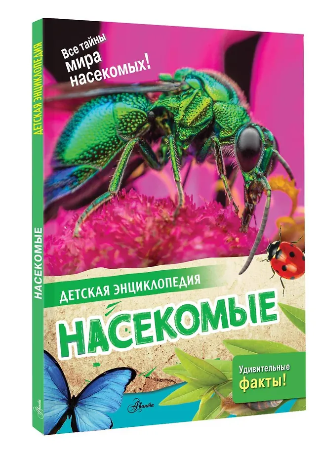 Насекомые фото книги маленькое 3