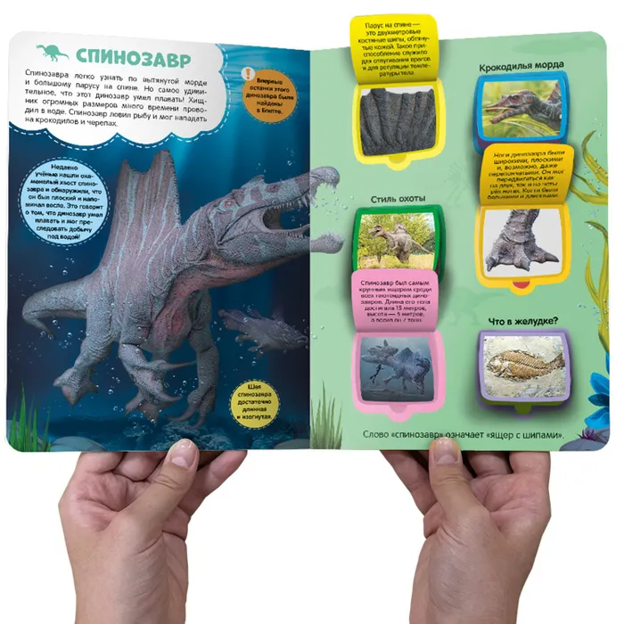 Динозавры фото книги маленькое 3