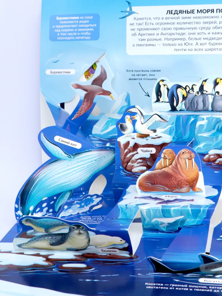 Энциклопедия с объёмными элементами POP UP. Море фото книги маленькое 11