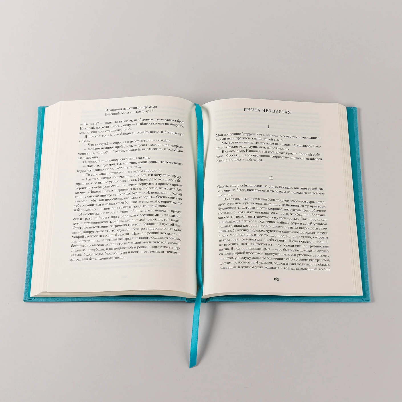 Жизнь Арсеньева фото книги маленькое 8