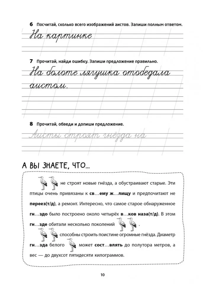 Рабочая тетрадь «Логоментальные прописи и тренажеры для начальной школы. Птицы». Обучение чтению и письму. Нейропрописи фото книги маленькое 11