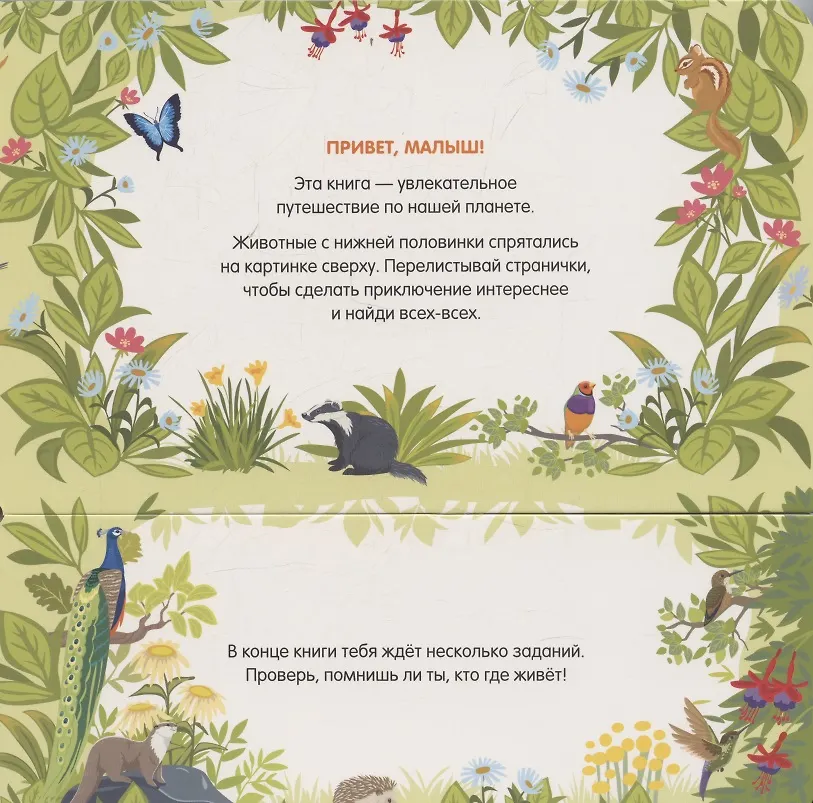 В зоопарке фото книги маленькое 3