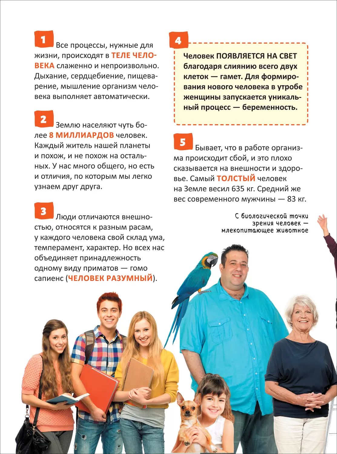 Человек. Энциклопедия российского школьника фото книги маленькое 3