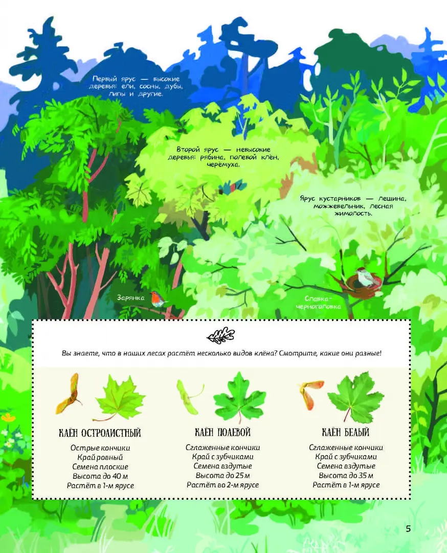 Лес. Самый умный дом на свете фото книги маленькое 6