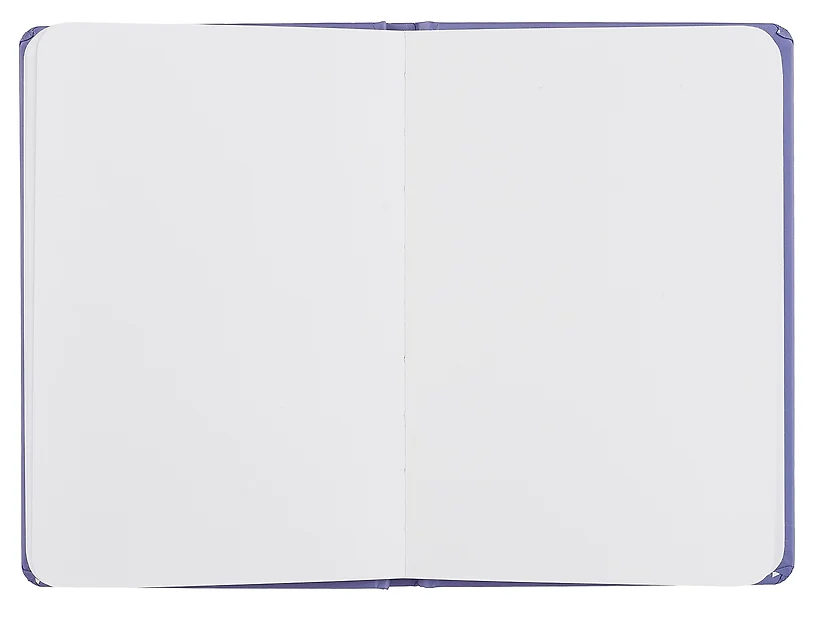 MyArt. Van Gogh Сollection СКЕТЧБУК. Ирисы фото книги маленькое 4