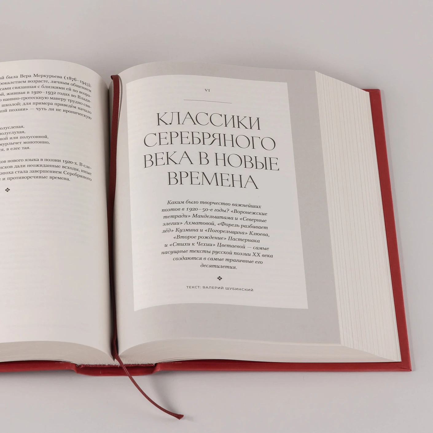 Полка: История русской поэзии фото книги маленькое 7