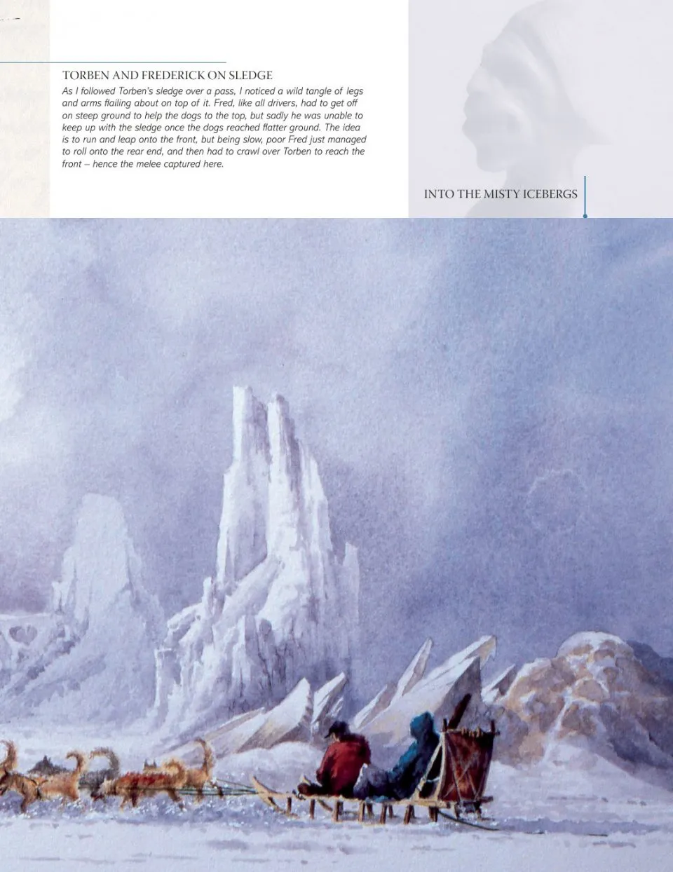 David Bellamy`s Arctic Light фото книги маленькое 10