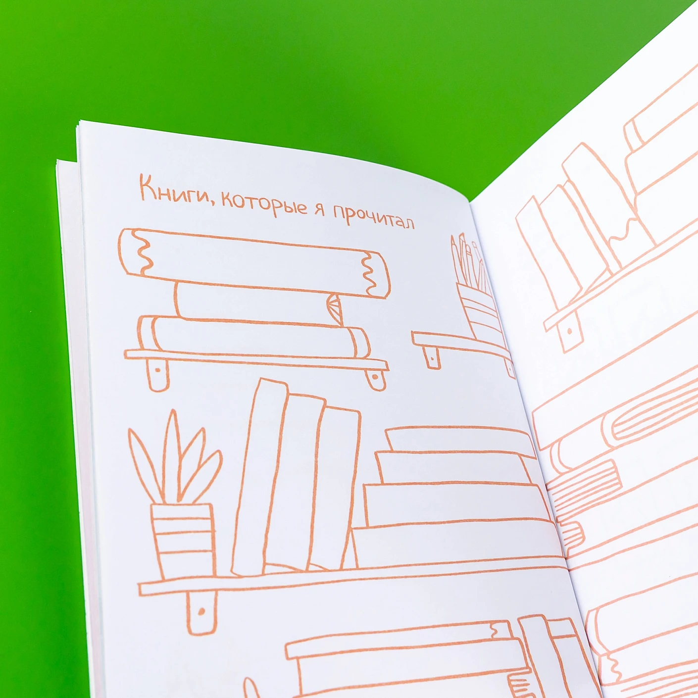 Читательский дневник фото книги маленькое 10