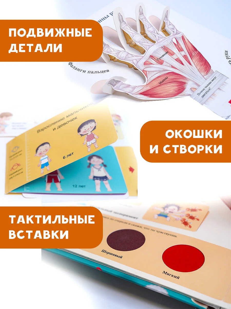 Все секреты человека фото книги маленькое 6