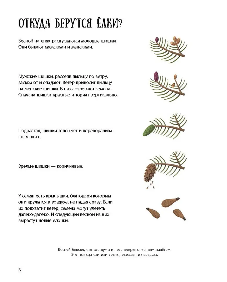 Елка и ее родственники фото книги маленькое 7