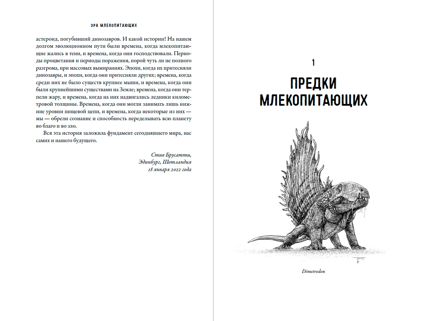 Эра млекопитающих: Из тени динозавров к мировому господству фото книги маленькое 3
