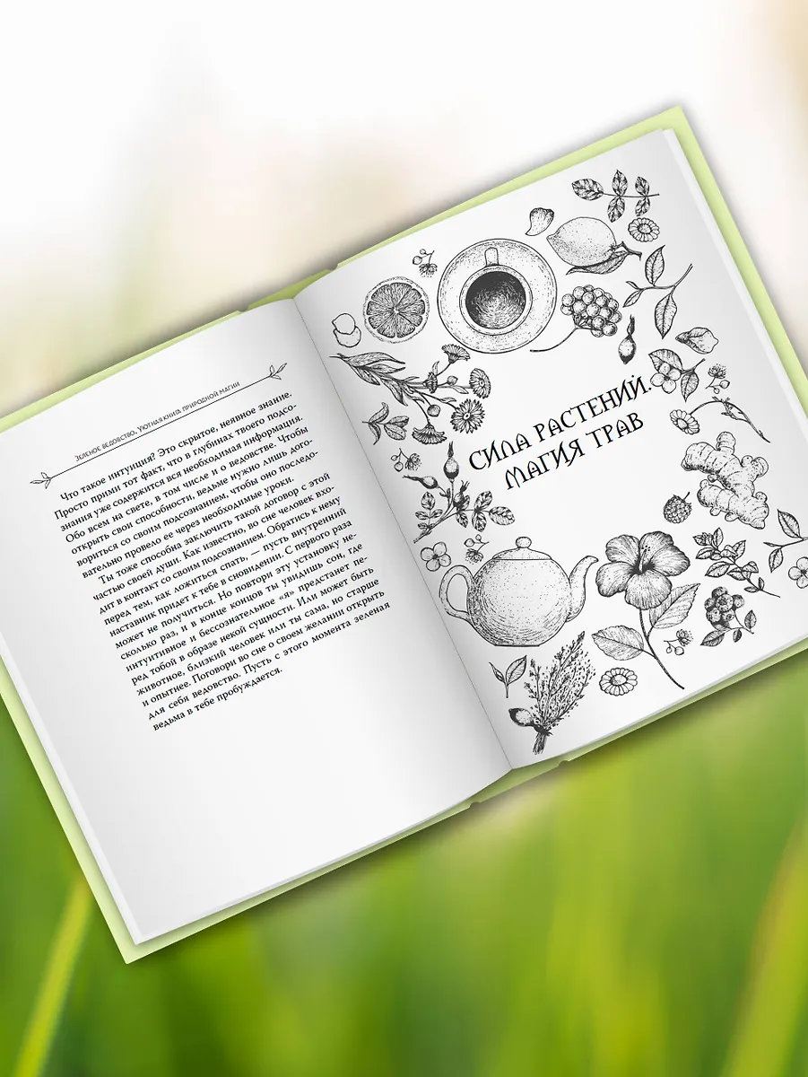 Зеленое ведовство. Уютная книга природной магии фото книги маленькое 5