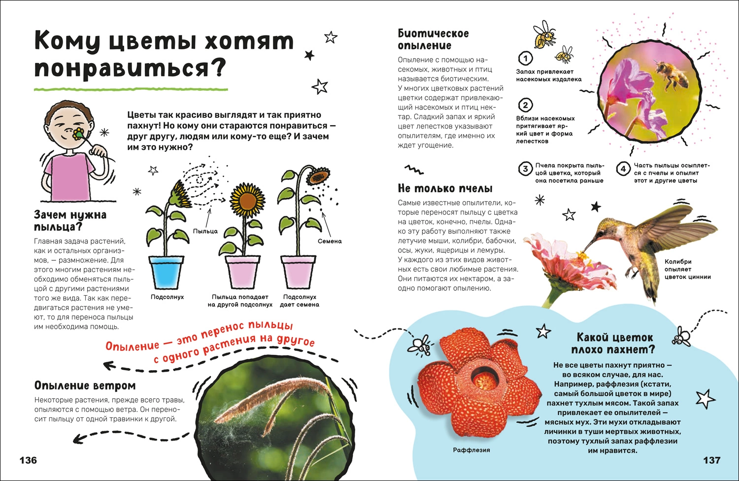 Суперэнциклопедия фото книги маленькое 4